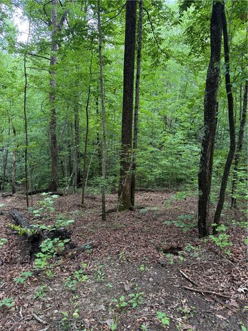 125 Cottage Side Trail, Travelers Rest, SC 29690