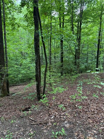 125 Cottage Side Trail, Travelers Rest, SC 29690