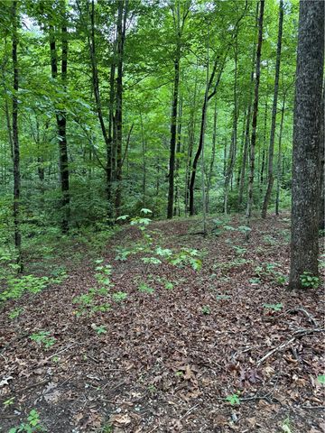 125 Cottage Side Trail, Travelers Rest, SC 29690