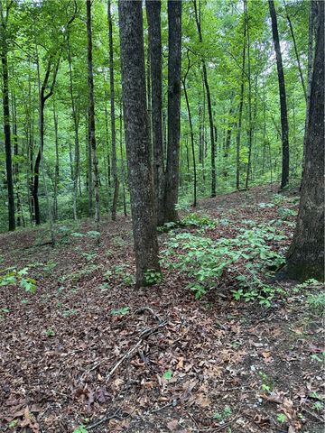 125 Cottage Side Trail, Travelers Rest, SC 29690