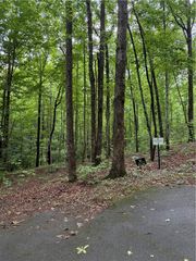 125 Cottage Side Trail, Travelers Rest, SC 29690