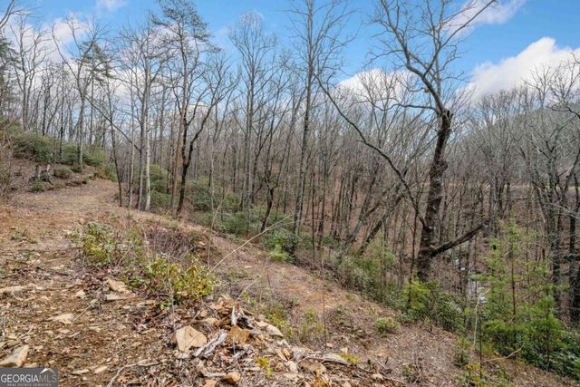 0 Big Oak Drive, Jasper, GA 30143