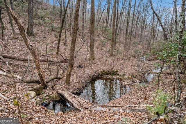 0 Big Oak Drive, Jasper, GA 30143