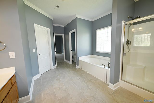 101 Misty Glen Drive, Madison, AL 35757