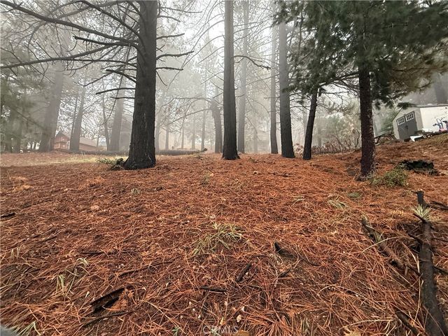 0 Poplar, Running Springs, CA 92382