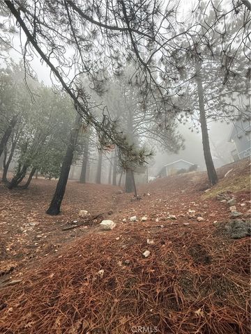 0 Poplar, Running Springs, CA 92382