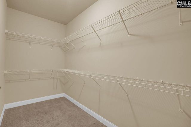 203 Woodlander Drive, Blythewood, SC 29016