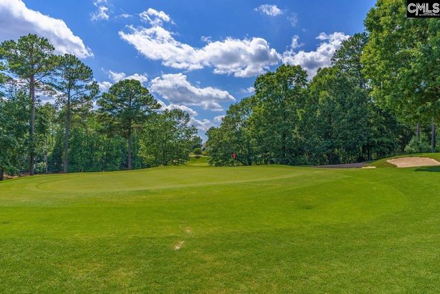 203 Woodlander Drive, Blythewood, SC 29016