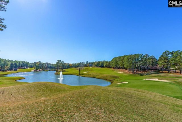 203 Woodlander Drive, Blythewood, SC 29016