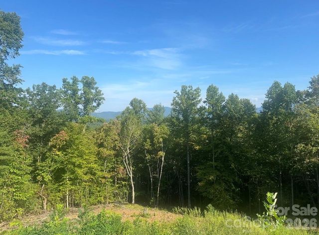 117 Sovereign Lane, Fairview, NC 28730