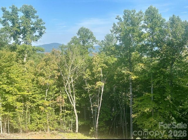 117 Sovereign Lane, Fairview, NC 28730