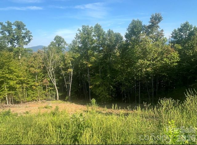 117 Sovereign Lane, Fairview, NC 28730