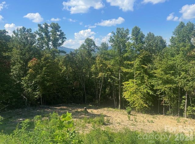 117 Sovereign Lane, Fairview, NC 28730
