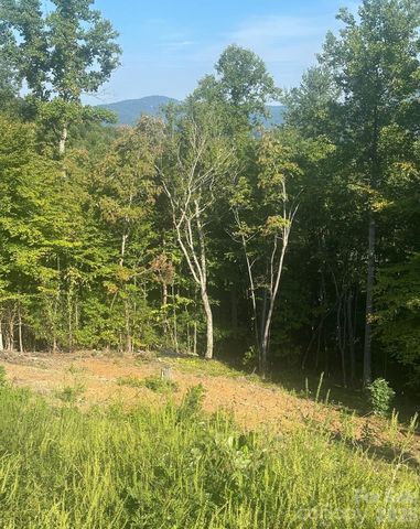 117 Sovereign Lane, Fairview, NC 28730