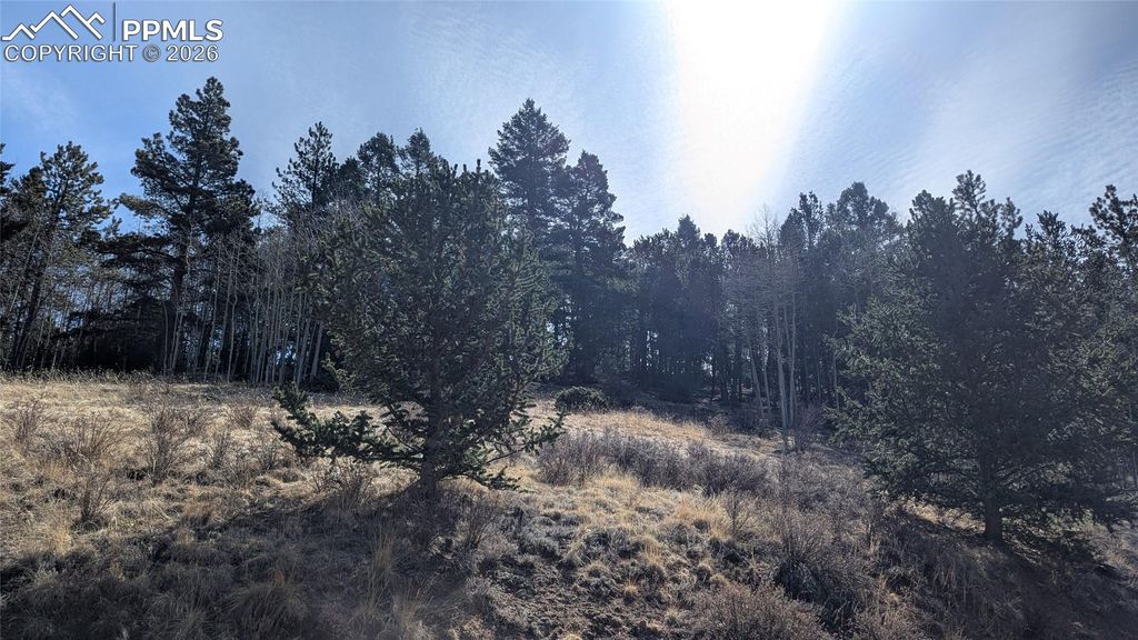 136 Valley Road, Divide, CO 80814 — exterior