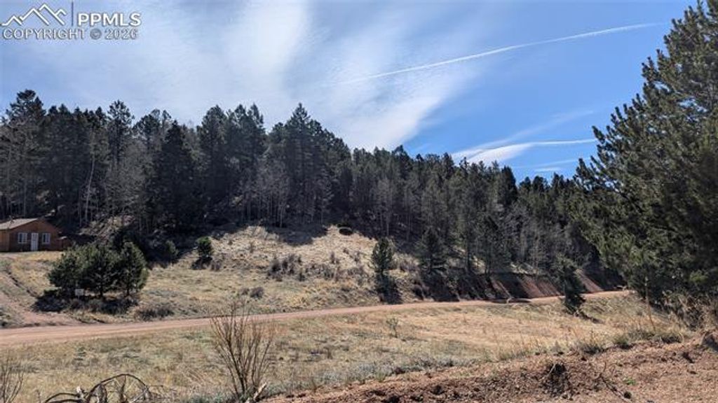 136 Valley Road, Divide, CO 80814 — photo 3