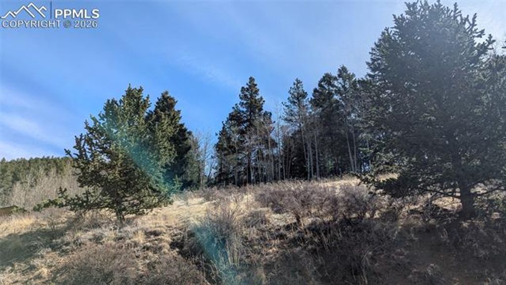 136 Valley Road, Divide, CO 80814 — photo 4