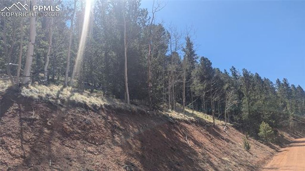 136 Valley Road, Divide, CO 80814 — photo 5