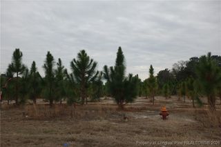 Lot 42 Stuarts Mill Road, Fairmont, NC 28340