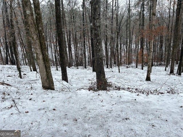 0 Bullock Bridge Road TRACT 4, Monroe, GA 30656