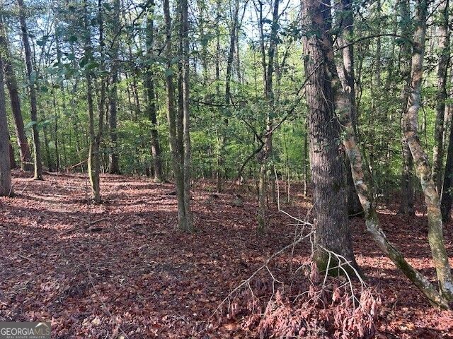 0 Bullock Bridge Road TRACT 4, Monroe, GA 30656