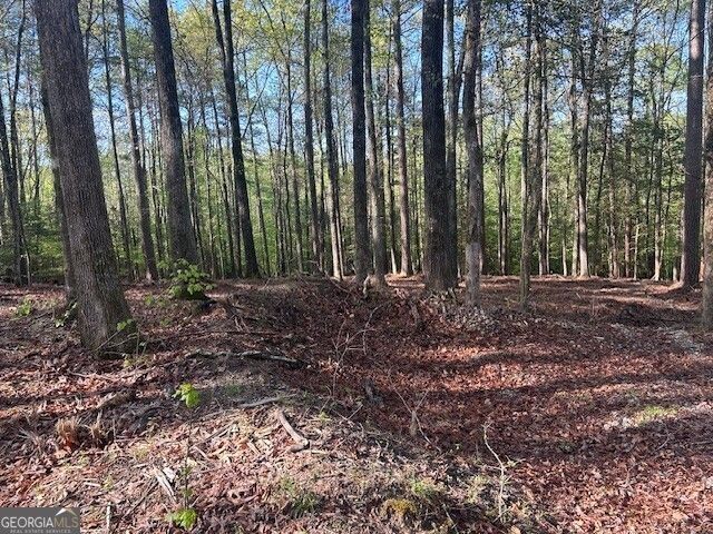 0 Bullock Bridge Road TRACT 4, Monroe, GA 30656