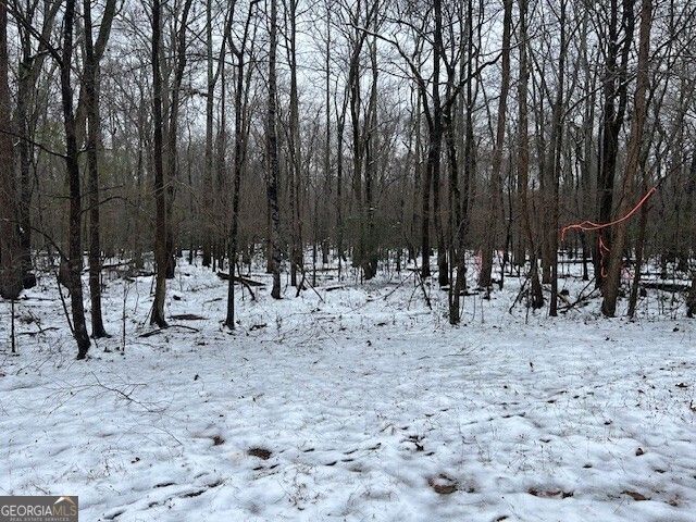 0 Bullock Bridge Road TRACT 4, Monroe, GA 30656