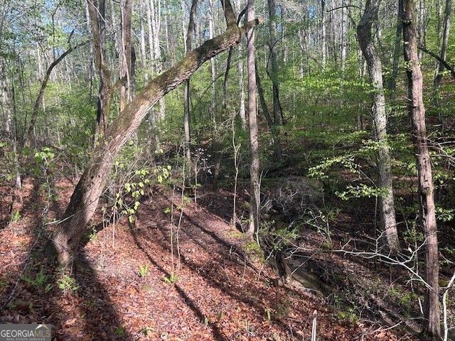 0 Bullock Bridge Road TRACT 4, Monroe, GA 30656