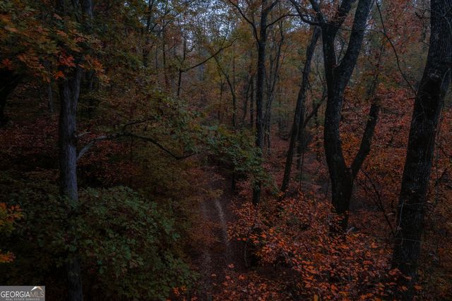 0 Bullock Bridge Road TRACT 4, Monroe, GA 30656