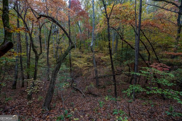 0 Bullock Bridge Road TRACT 4, Monroe, GA 30656