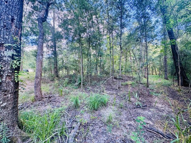 702 County Road 2339, Dayton, TX 77535