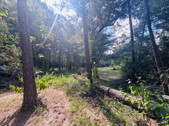 702 County Road 2339, Dayton, TX 77535