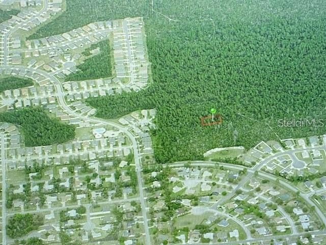 MORGAN PAPER ST, Deltona, FL 32725