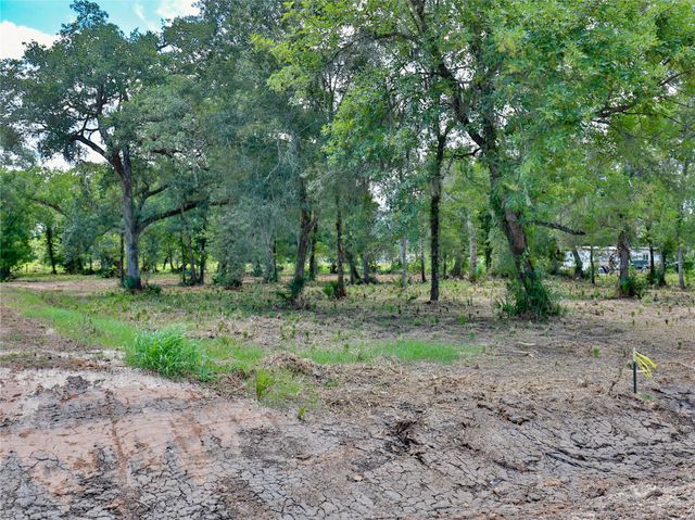 2301 Cr 851, Brazoria, TX 77422