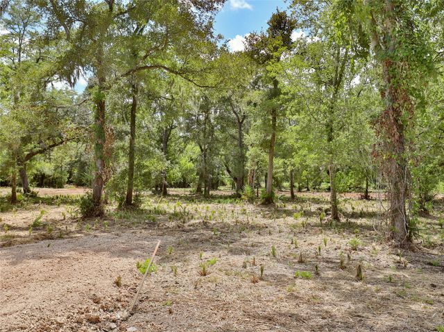 2301 Cr 851, Brazoria, TX 77422