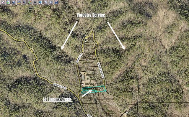 141 Barnes Creek Drive, Ellijay, GA 30540