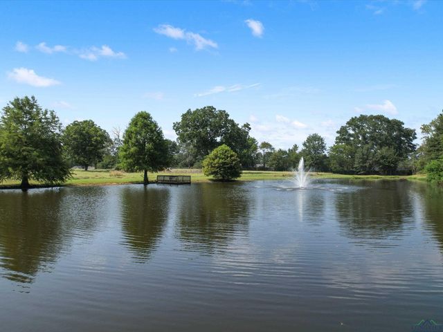 5249 Rosborough Springs Rd, Marshall, TX 75672