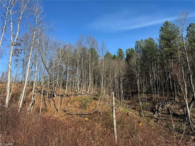 TBD Old Railroad Grade Road, Thurmond, NC 28683