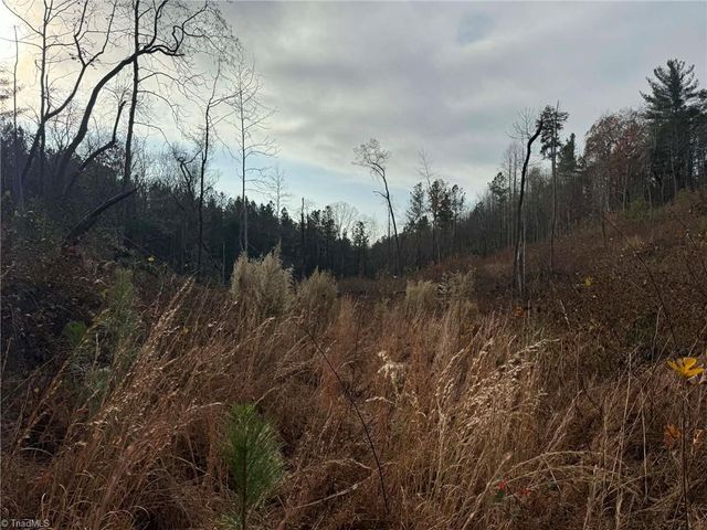 TBD Old Railroad Grade Road, Thurmond, NC 28683