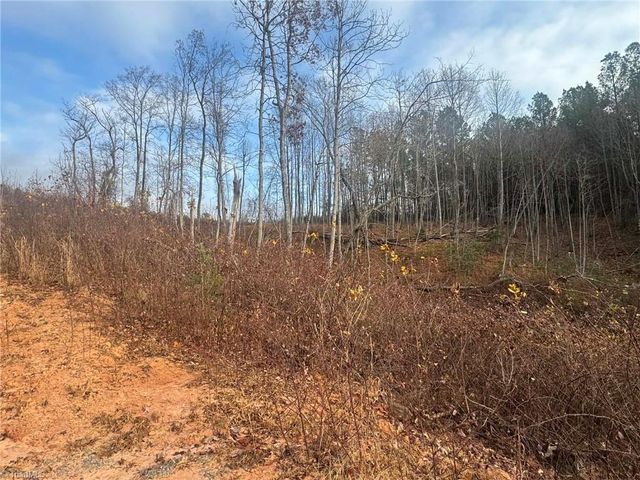 TBD Old Railroad Grade Road, Thurmond, NC 28683