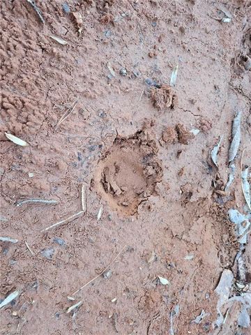 TBD Old Railroad Grade Road, Thurmond, NC 28683