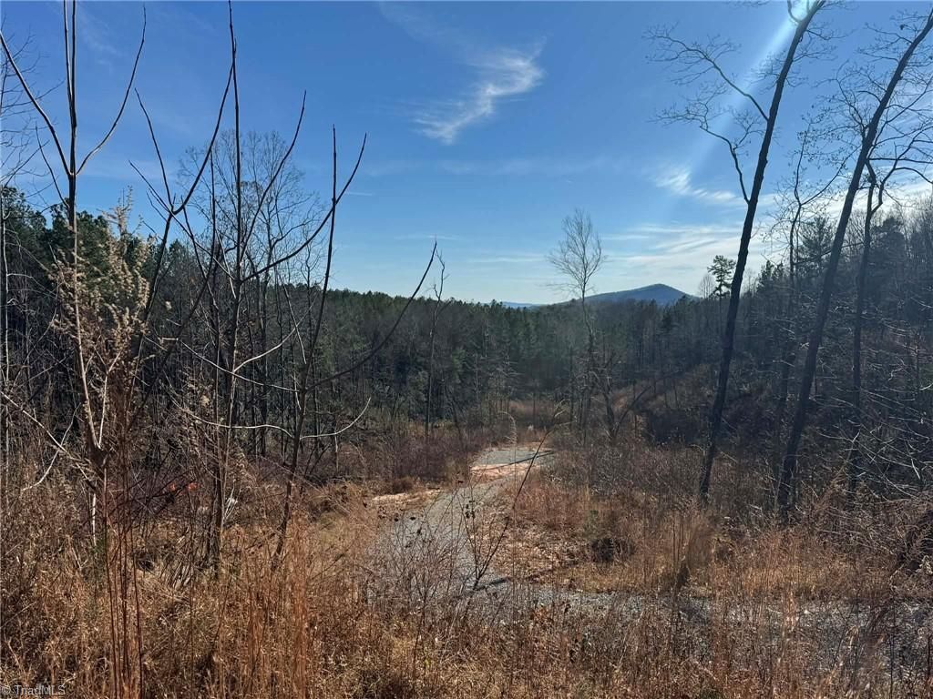 TBD Old Railroad Grade Road, Thurmond, NC 28683