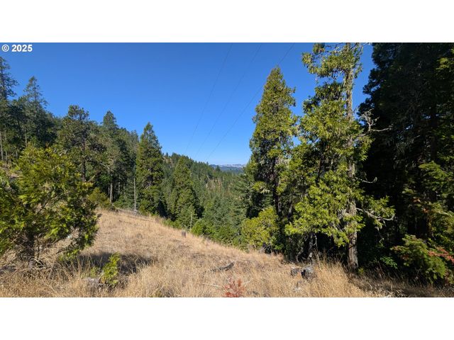 900 OLD CABIN Dr, Glide, OR 97443