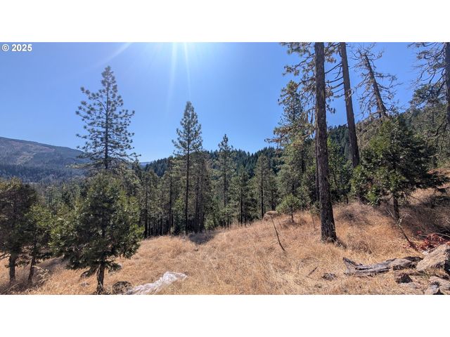 900 OLD CABIN Dr, Glide, OR 97443