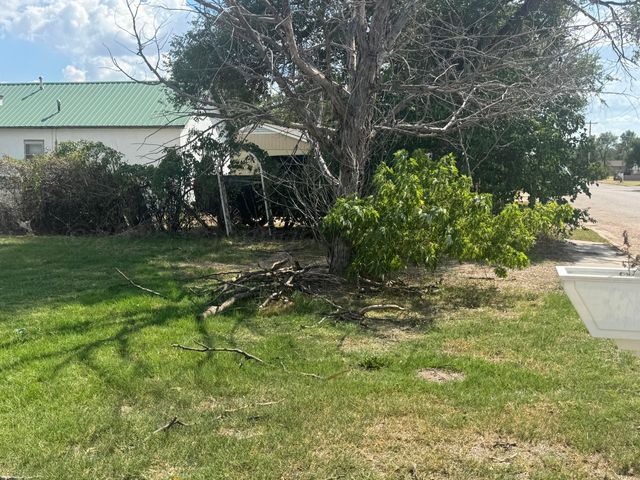 303 S Hazelwood, Spearman, TX 79081