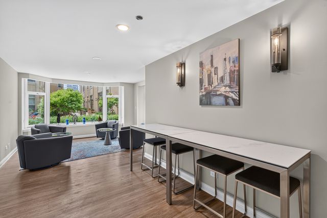 25 E Superior Street 1006, Chicago, IL 60611