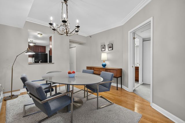 25 E Superior Street 1006, Chicago, IL 60611