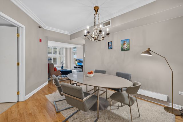 25 E Superior Street 1006, Chicago, IL 60611