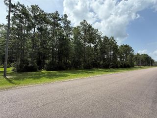 9150 Grizzly Drive, Kountze, TX 77625