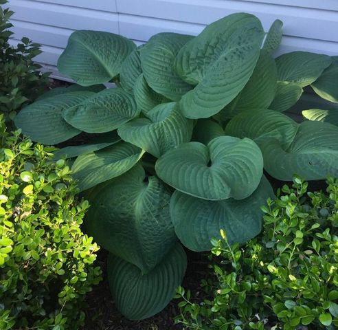 21895 GREEN VALLEY Avenue, Council Bluffs, IA 51503